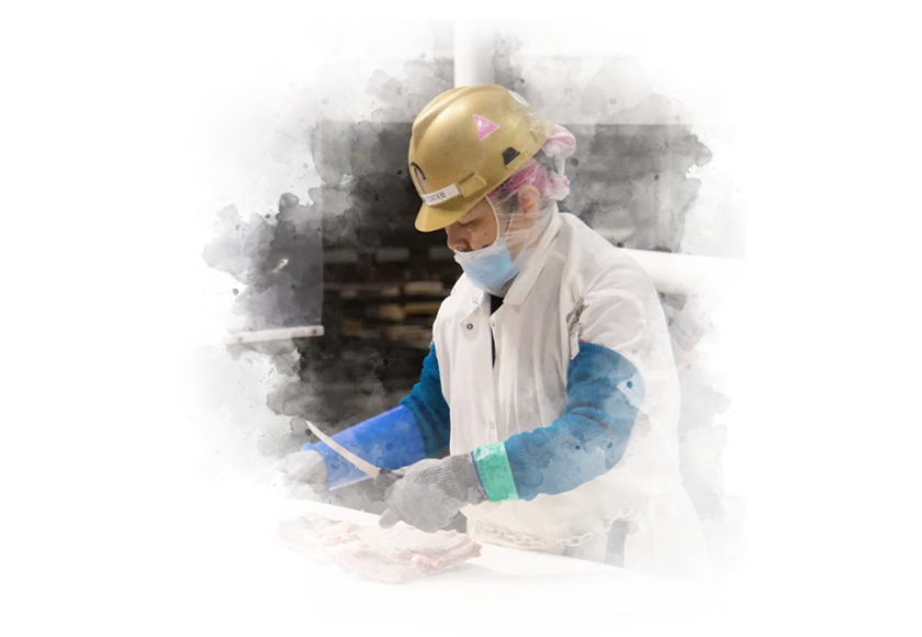 Triumph Foods team member trimming ribs on the cut floor